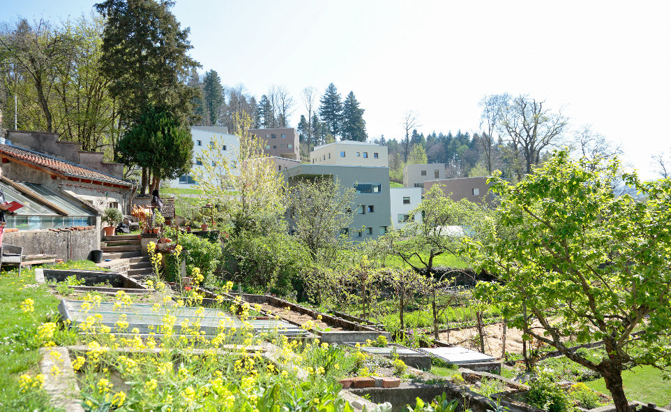 Uwc Robert Bosch College News Freiburg S Open Garden Day