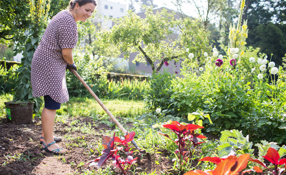 Volunteer Opportunities At Uwc Robert Bosch College